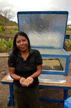 Reyna, one of the solar women, with coffee getting dried
